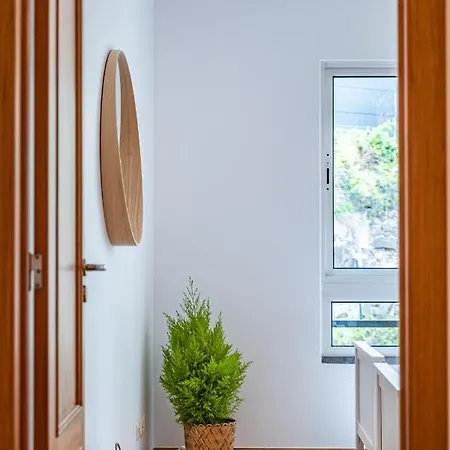 Lovely At The Location In Funchal (Madeira)